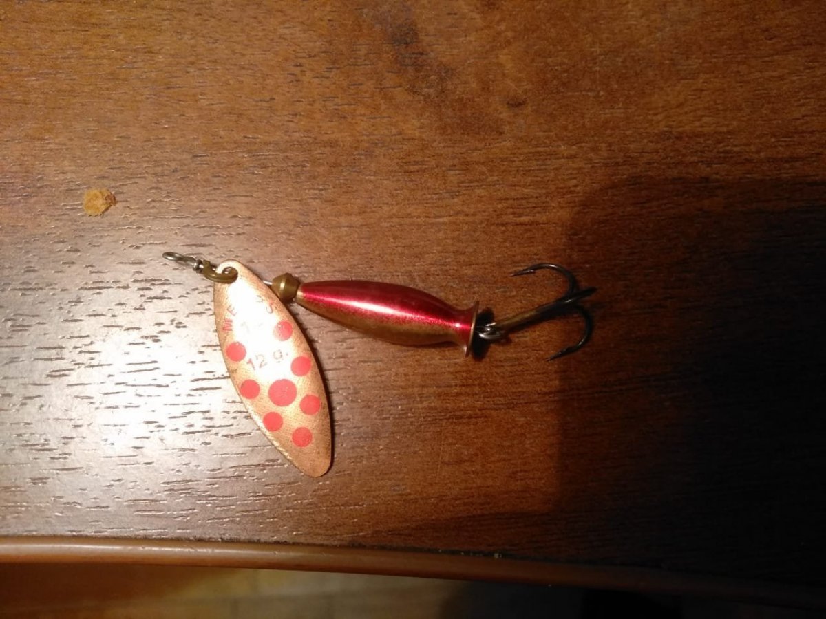 WhatsApp Image 2022-10-12 at 18.36.43.jpeg