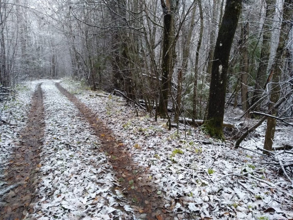 WhatsApp Image 2022-10-30 at 10.23.02.jpeg