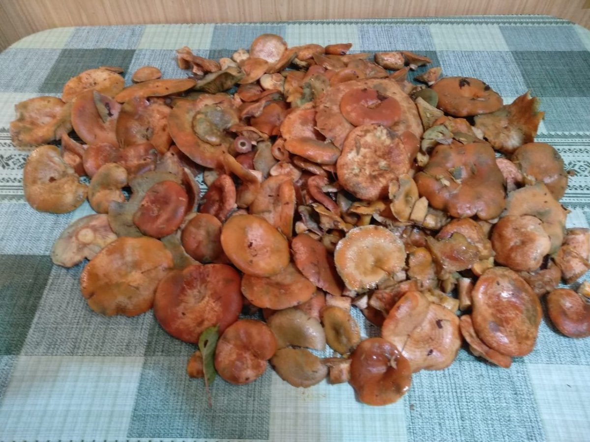 WhatsApp Image 2022-10-26 at 16.12.11.jpeg