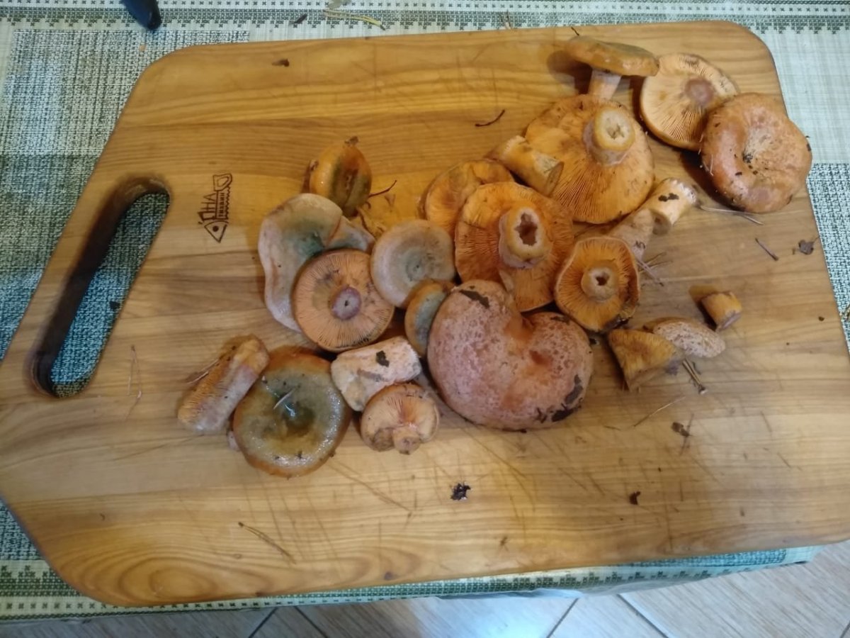 WhatsApp Image 2022-10-07 at 17.08.22.jpeg