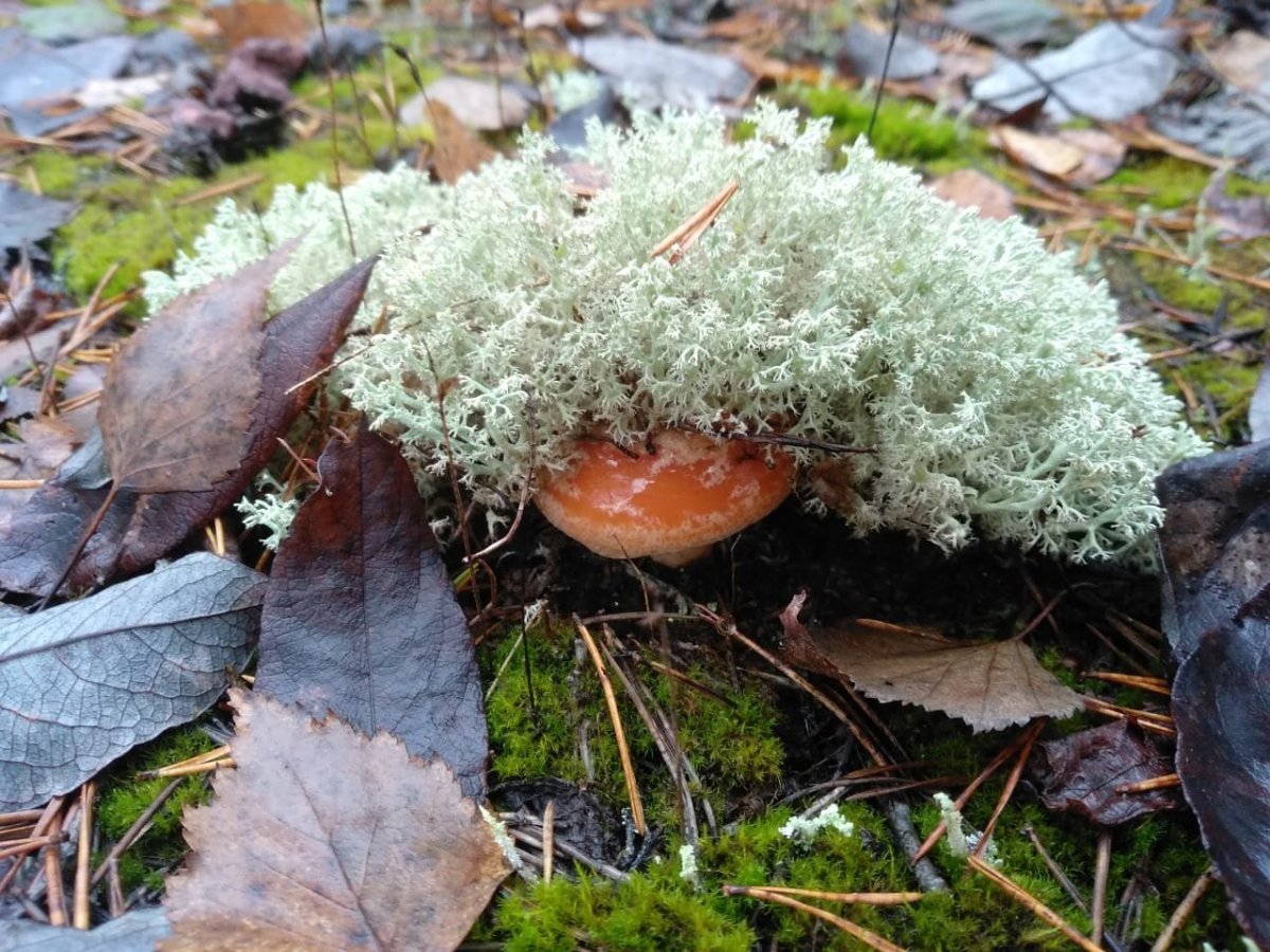 WhatsApp Image 2022-10-28 at 18.11.38(1).jpeg