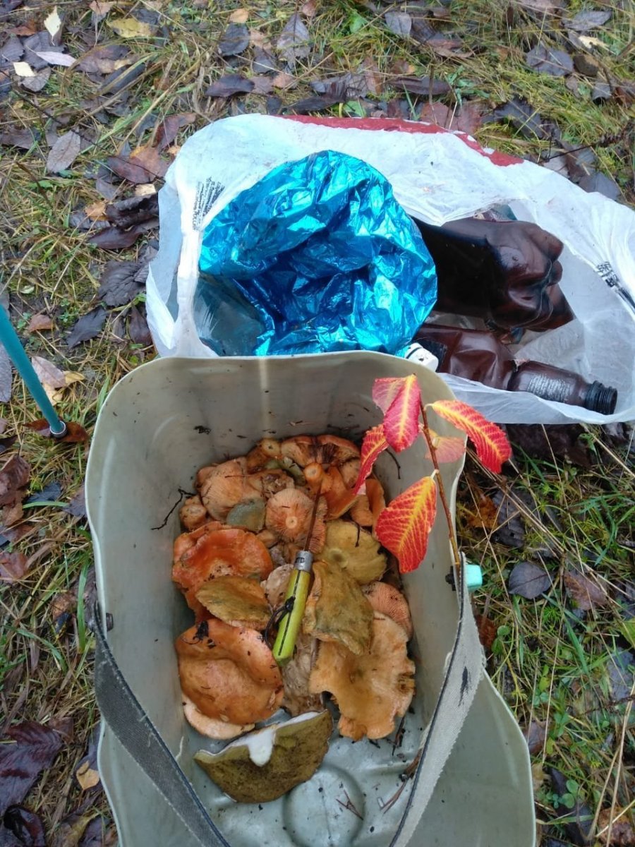 WhatsApp Image 2022-10-30 at 10.23.03.jpeg