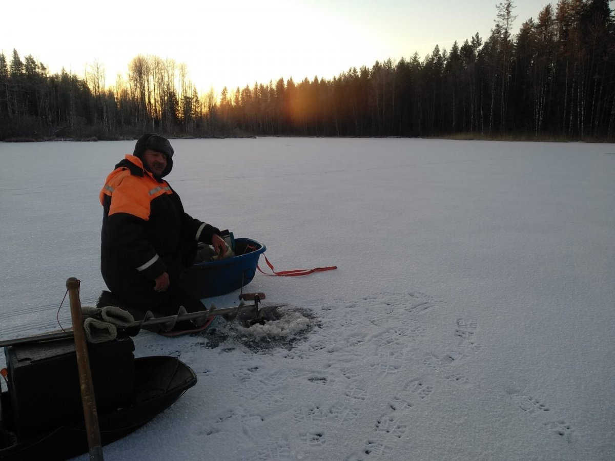 WhatsApp Image 2022-11-26 at 22.58.26.jpeg