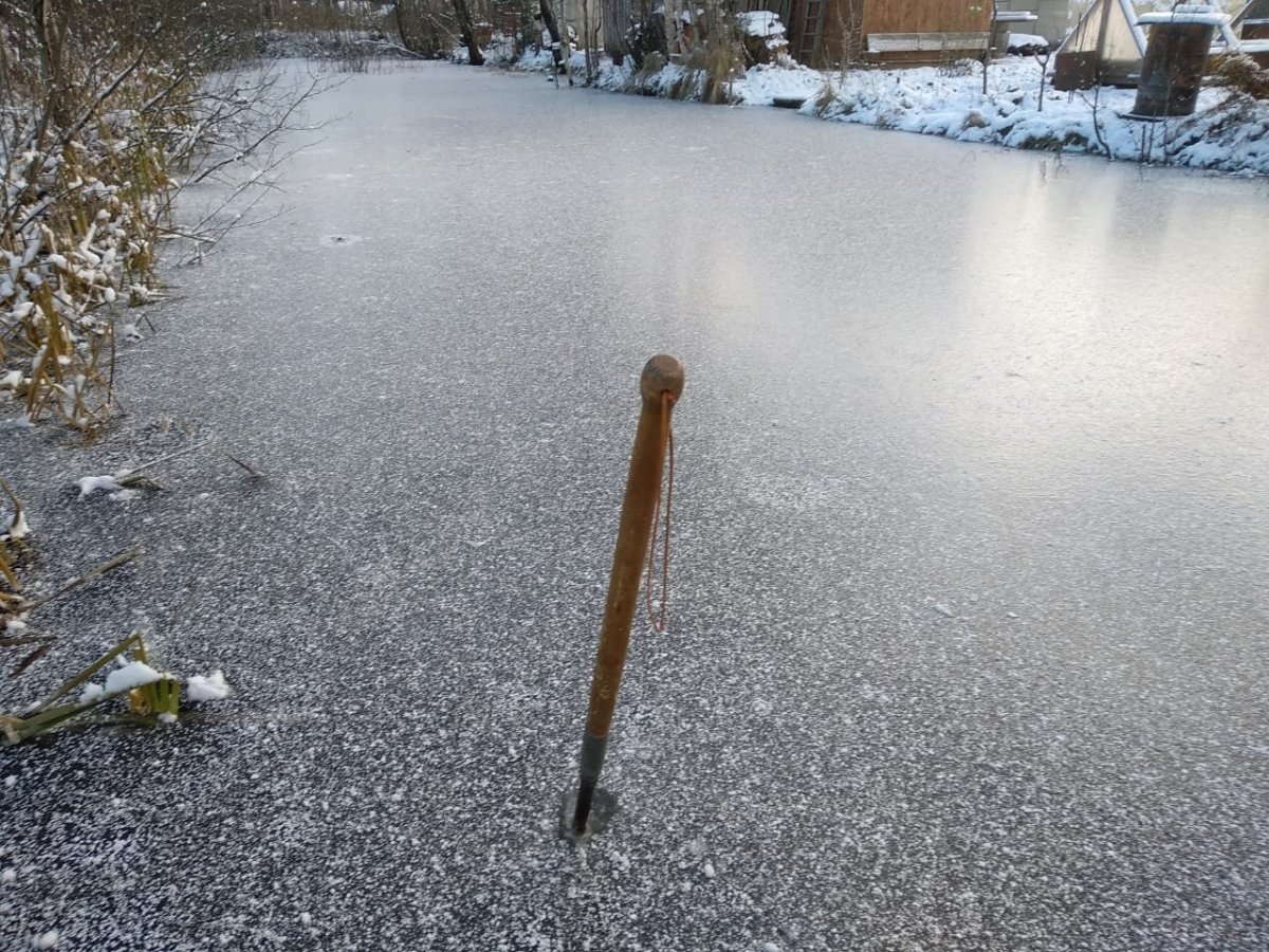 WhatsApp Image 2022-11-19 at 18.03.13(1).jpeg