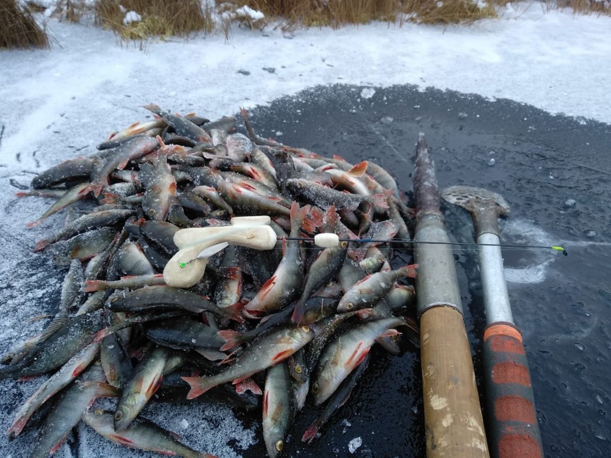 WhatsApp Image 2022-11-20 at 18.03.02.jpeg