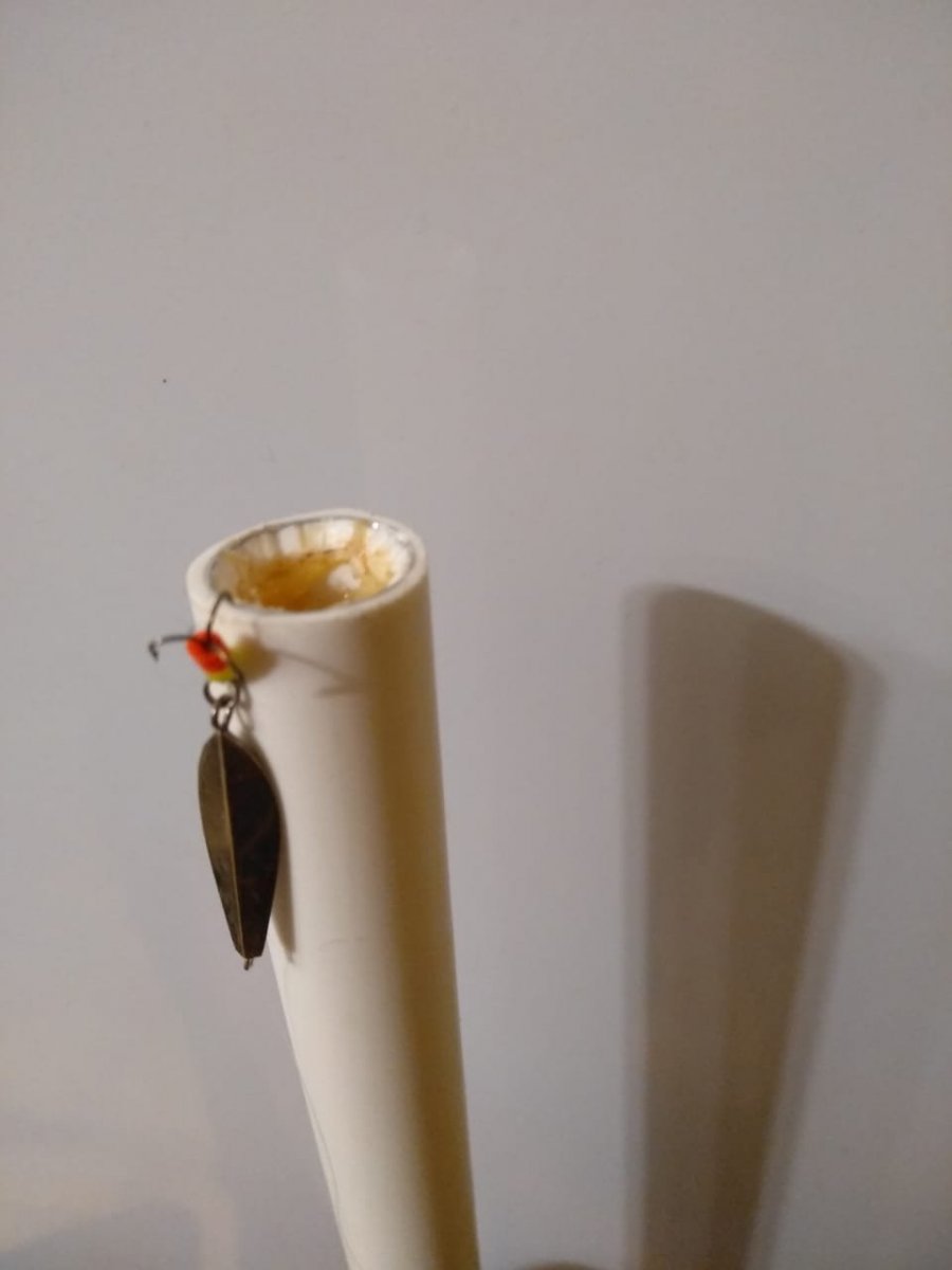 WhatsApp Image 2022-11-17 at 18.43.08(1).jpeg