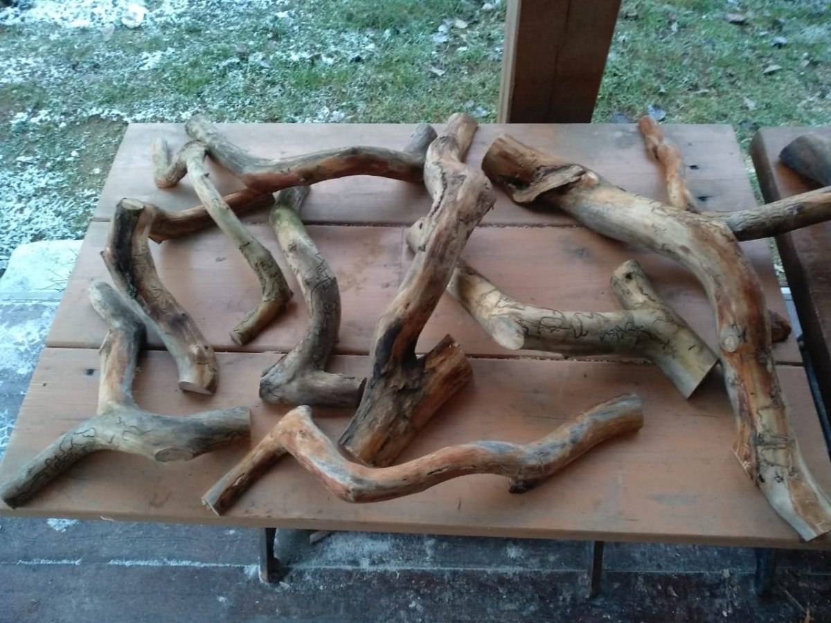 WhatsApp Image 2022-11-03 at 18.30.22.jpeg