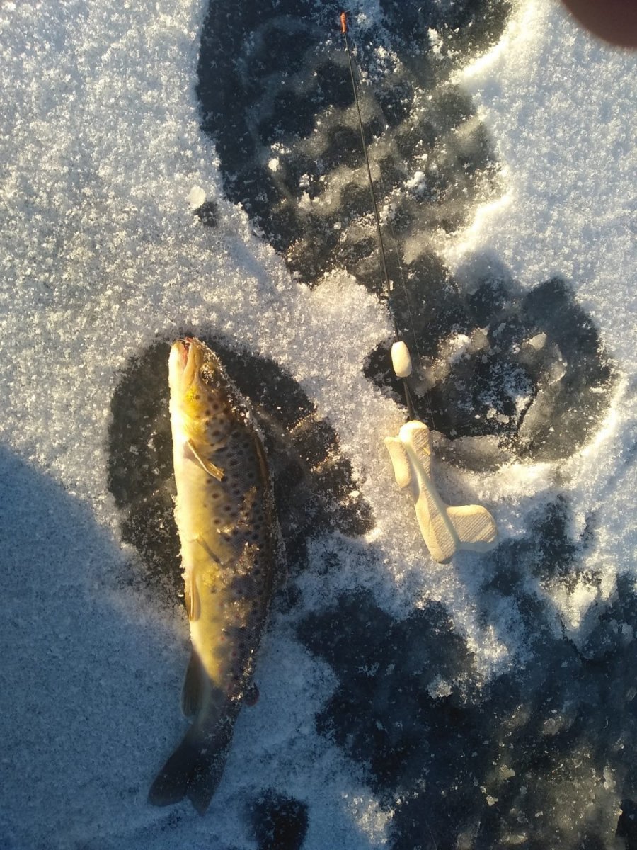 WhatsApp Image 2022-11-26 at 22.58.27(1).jpeg