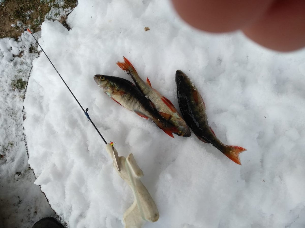 WhatsApp Image 2022-11-19 at 18.03.13.jpeg