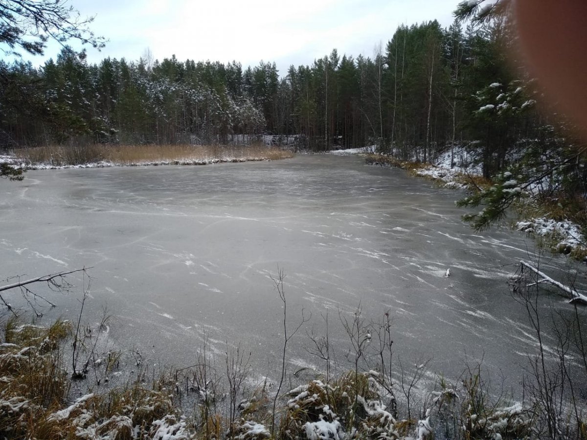 WhatsApp Image 2022-11-19 at 18.03.12.jpeg