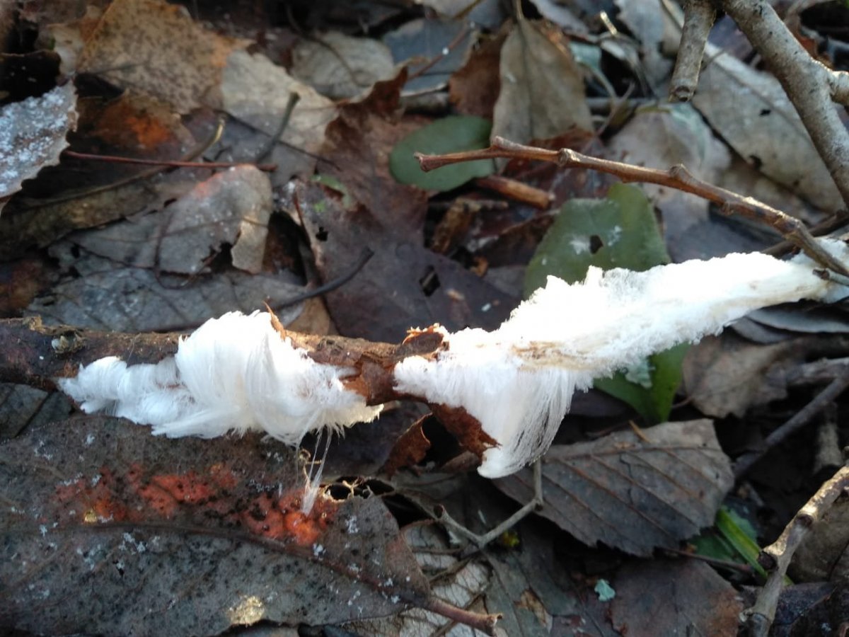 WhatsApp Image 2022-11-15 at 18.49.49(1).jpeg