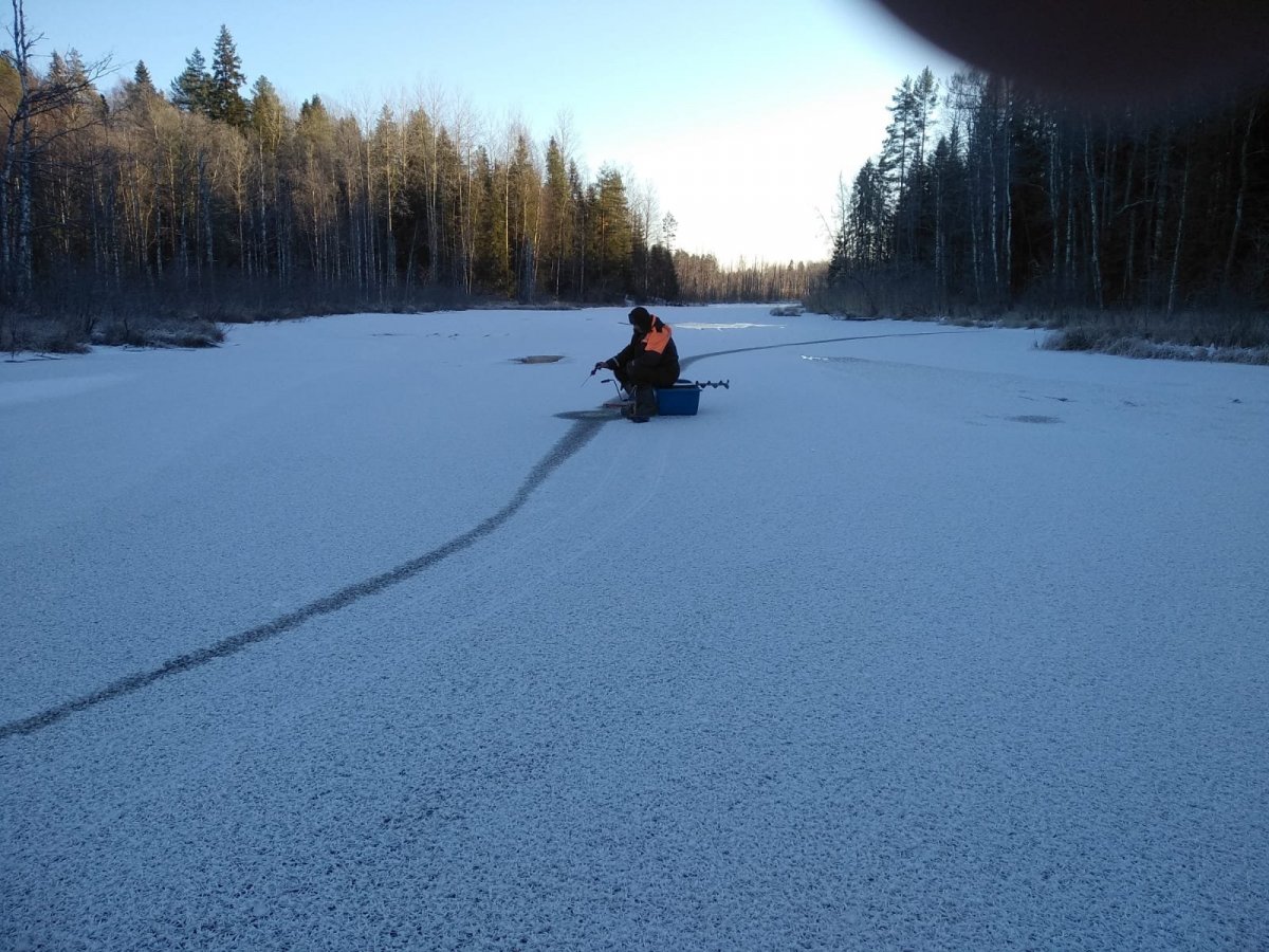 WhatsApp Image 2022-11-26 at 22.58.24.jpeg