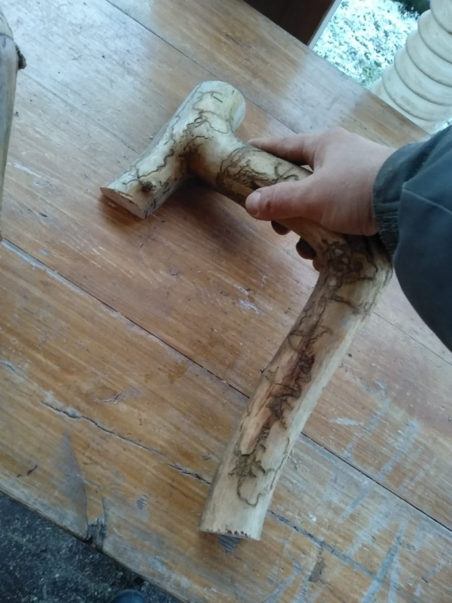 WhatsApp Image 2022-11-03 at 18.30.21.jpeg