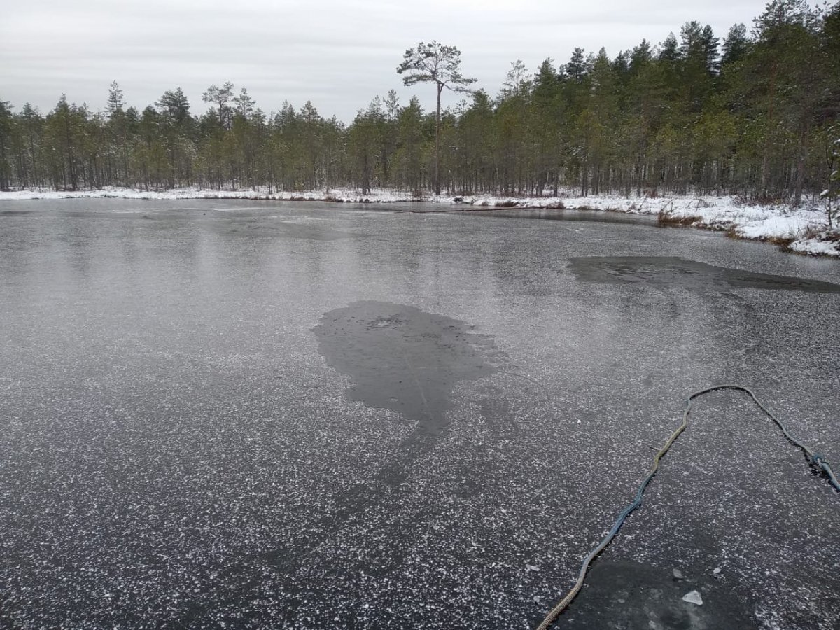 WhatsApp Image 2022-11-19 at 18.03.12(1).jpeg