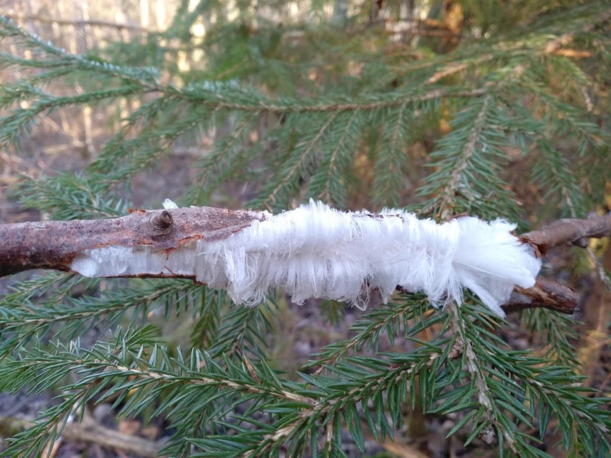 WhatsApp Image 2022-11-15 at 18.49.49.jpeg