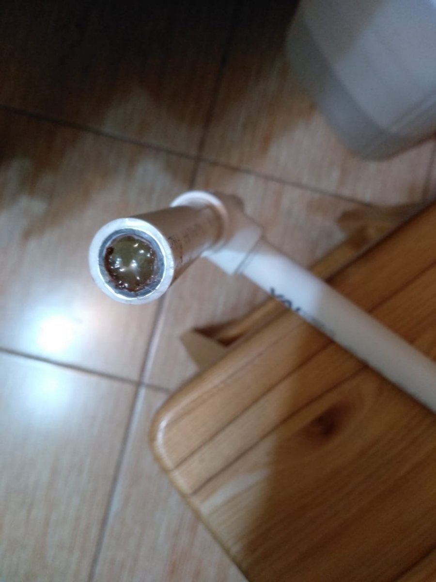 WhatsApp Image 2022-11-17 at 18.43.09.jpeg