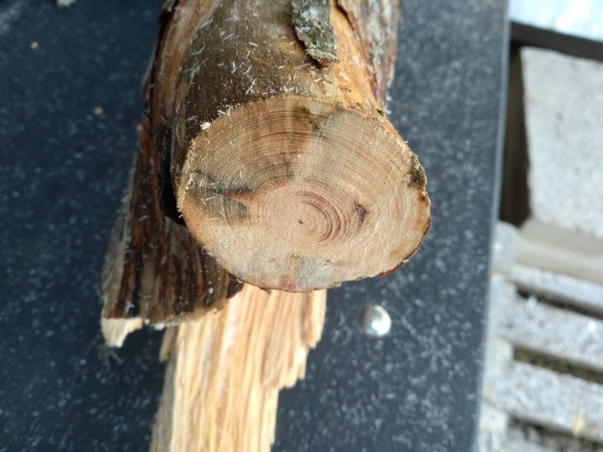 WhatsApp Image 2022-11-03 at 18.30.23.jpeg