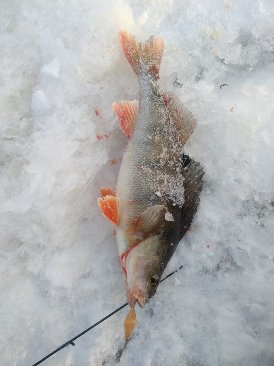 WhatsApp Image 2022-12-03 at 19.09.47(1).jpeg