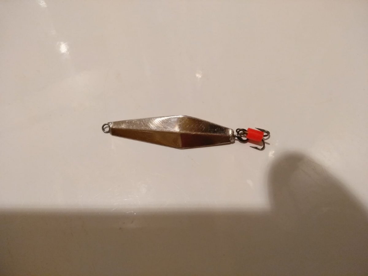 WhatsApp Image 2022-12-03 at 19.46.12(1).jpeg