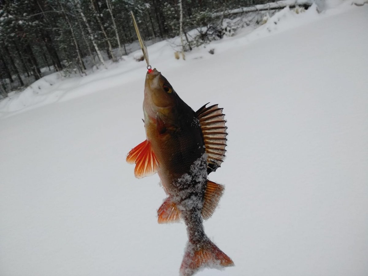 WhatsApp Image 2022-12-11 at 06.51.53.jpeg