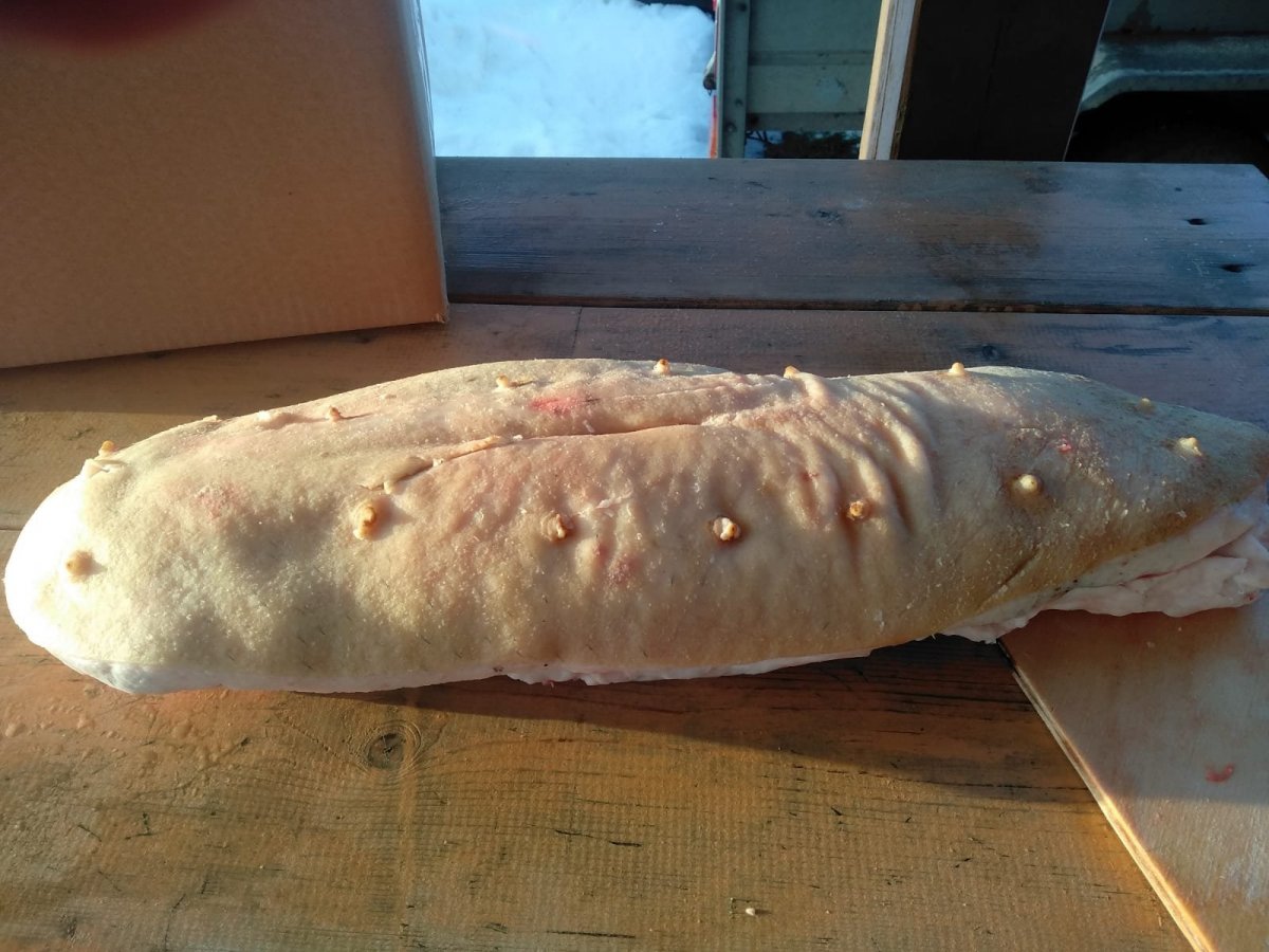 WhatsApp Image 2022-12-24 at 22.26.22(2).jpeg