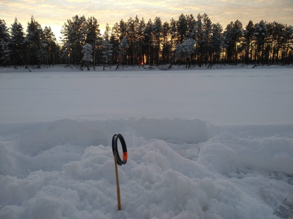 WhatsApp Image 2022-12-20 at 19.38.22(1).jpeg