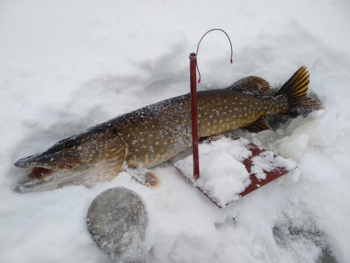 WhatsApp Image 2022-12-17 at 09.40.27(2).jpeg