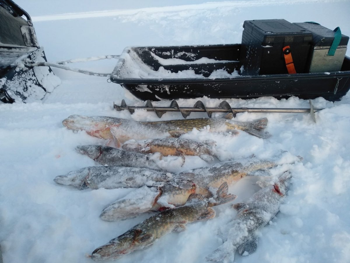 WhatsApp Image 2022-12-20 at 19.38.21.jpeg