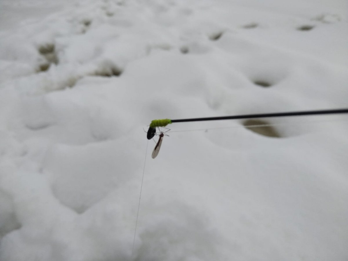 WhatsApp Image 2022-12-23 at 20.55.59(2).jpeg