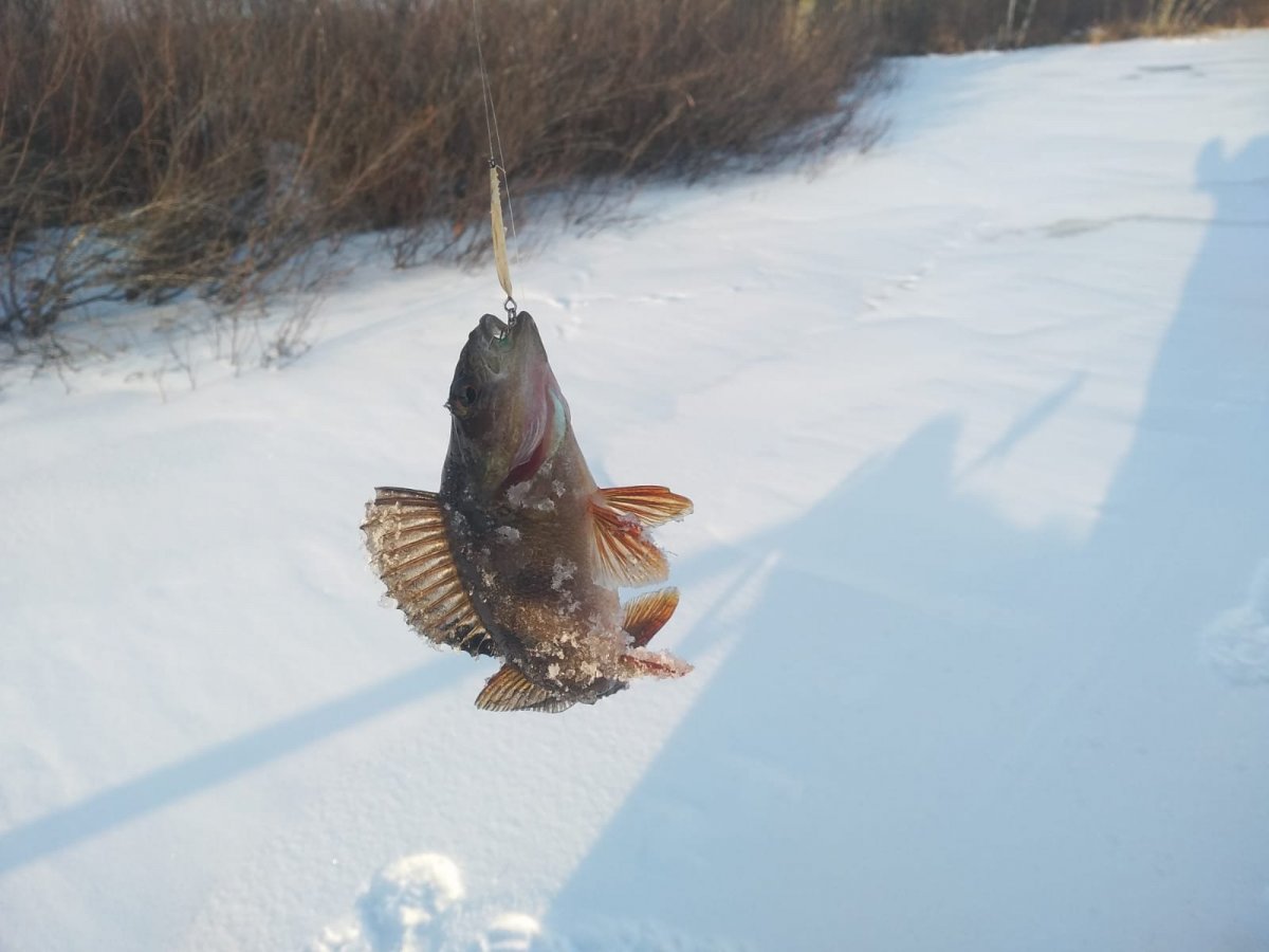 WhatsApp Image 2022-12-03 at 19.09.52(2).jpeg