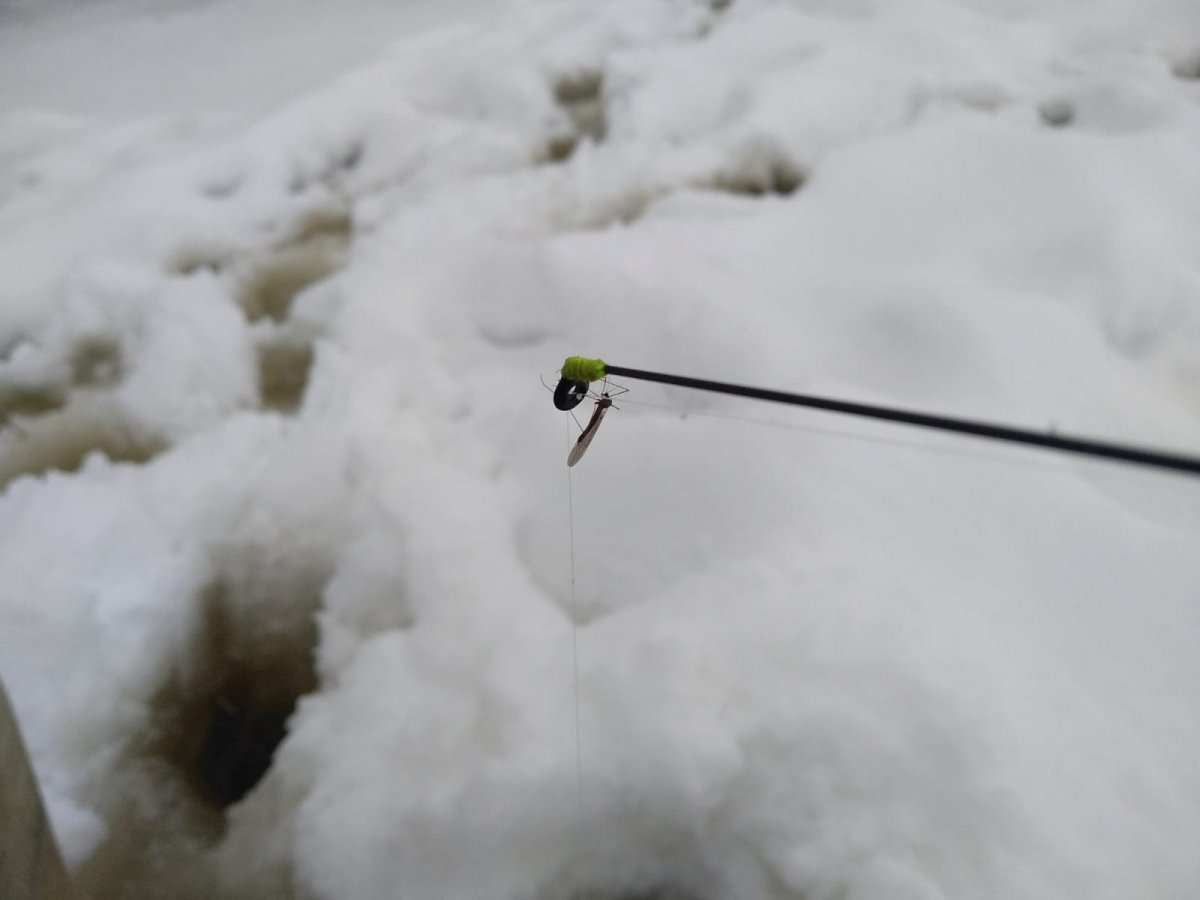 WhatsApp Image 2022-12-23 at 20.55.59(1).jpeg