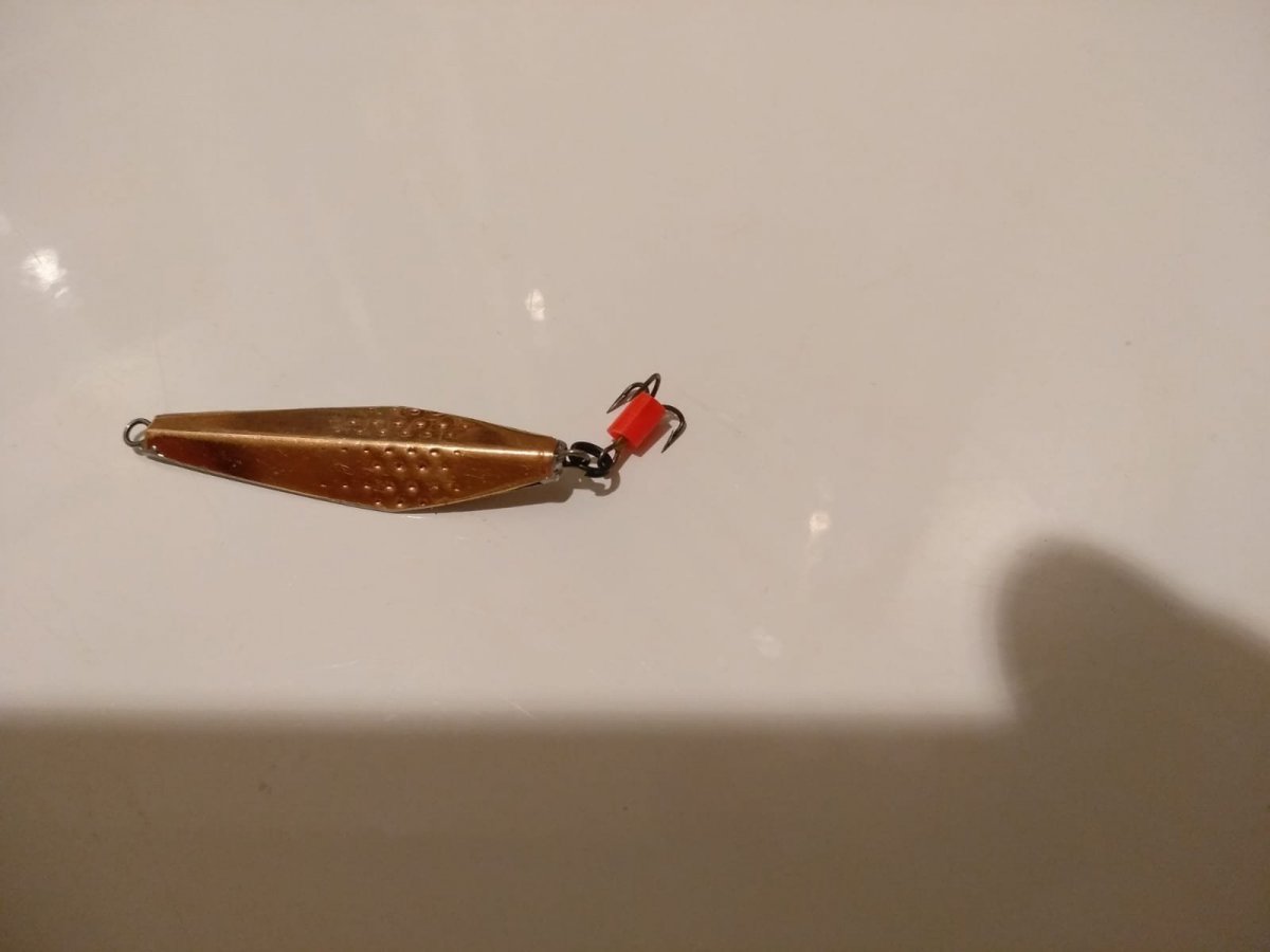 WhatsApp Image 2022-12-03 at 19.46.12.jpeg