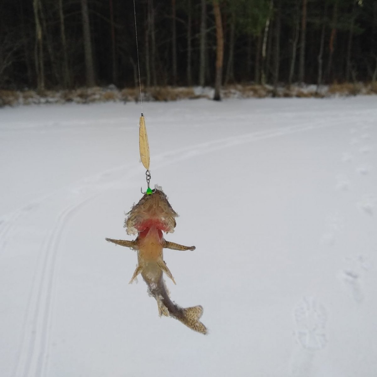 WhatsApp Image 2022-12-03 at 19.09.51(2).jpeg