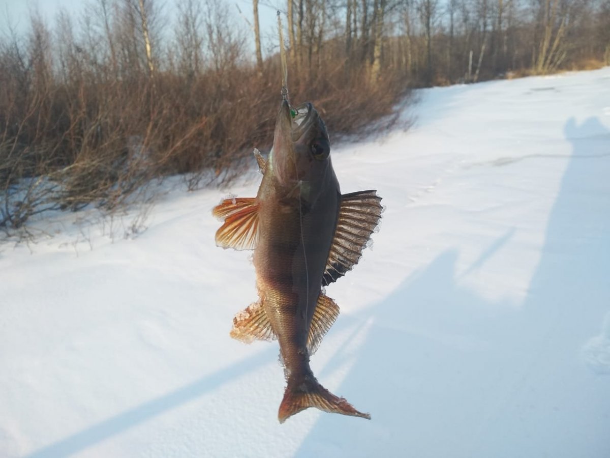 WhatsApp Image 2022-12-03 at 19.09.52.jpeg