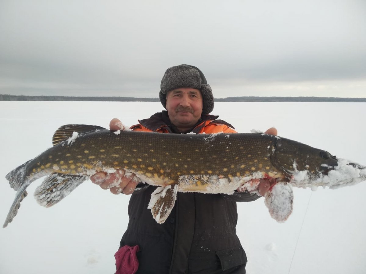 WhatsApp Image 2022-12-20 at 19.38.25.jpeg