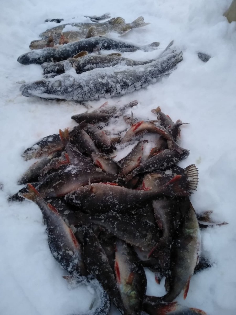 WhatsApp Image 2022-12-11 at 06.51.51.jpeg