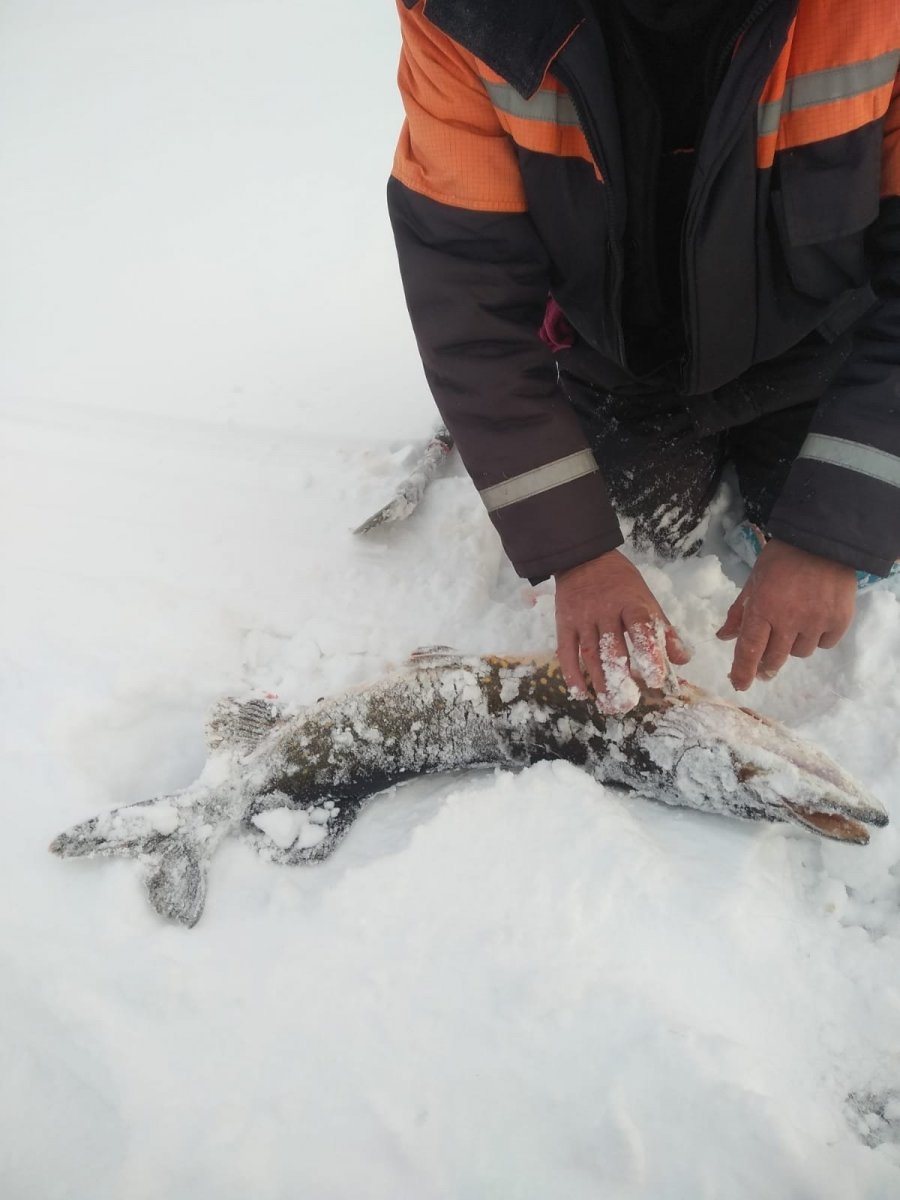 WhatsApp Image 2022-12-20 at 19.38.24(2).jpeg