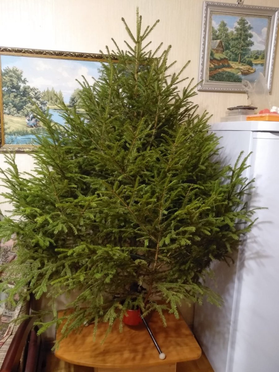 WhatsApp Image 2022-12-24 at 22.26.20.jpeg