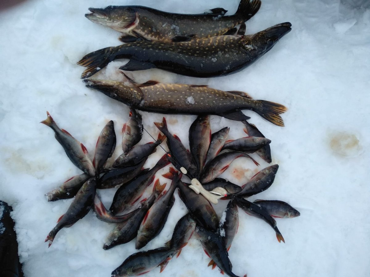 WhatsApp Image 2022-12-23 at 20.55.59.jpeg