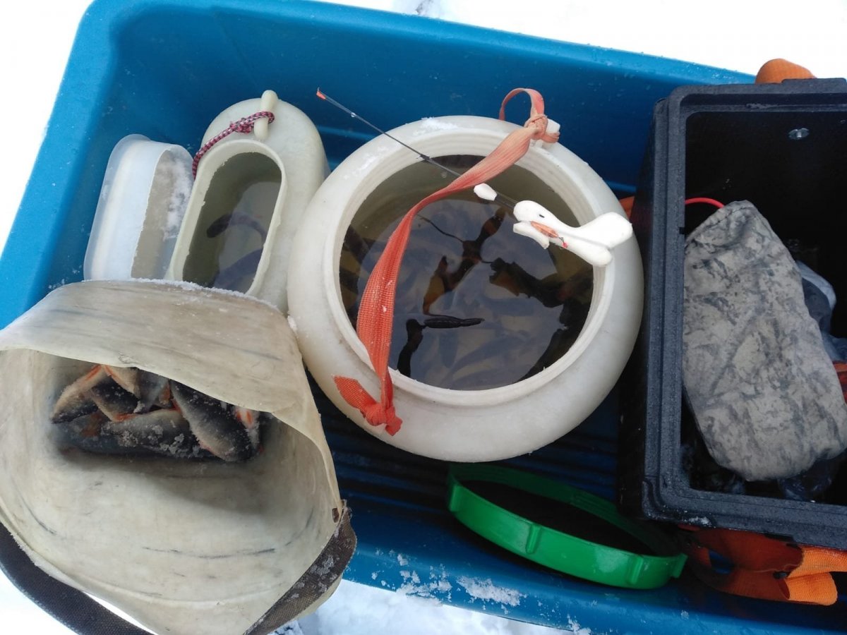 WhatsApp Image 2022-12-19 at 17.02.22.jpeg