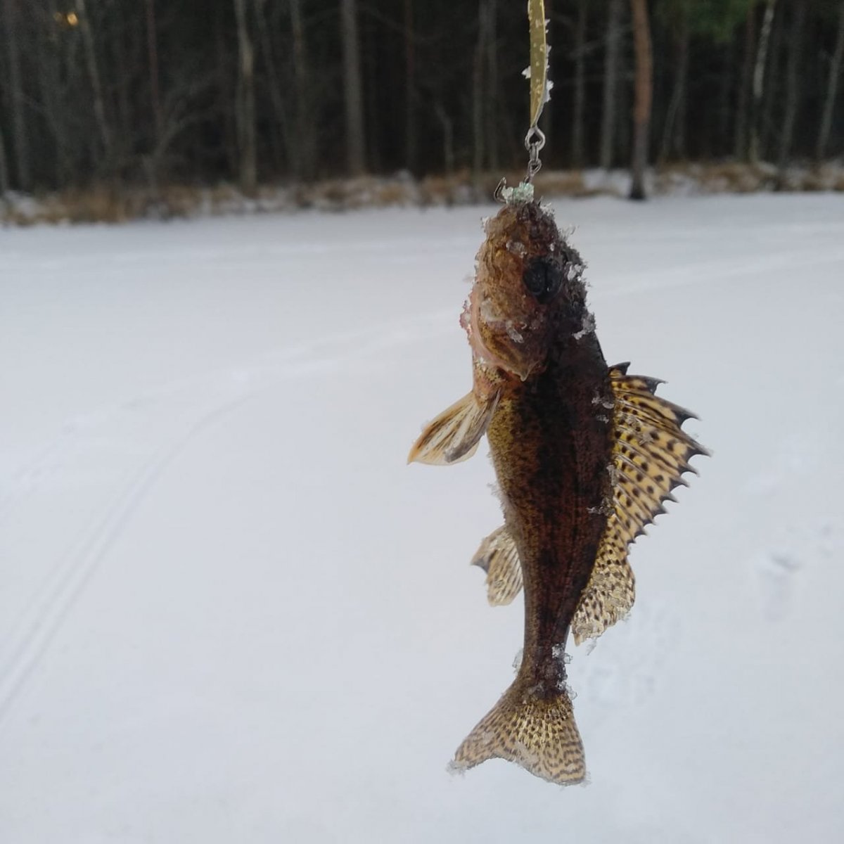 WhatsApp Image 2022-12-03 at 19.09.51(1).jpeg