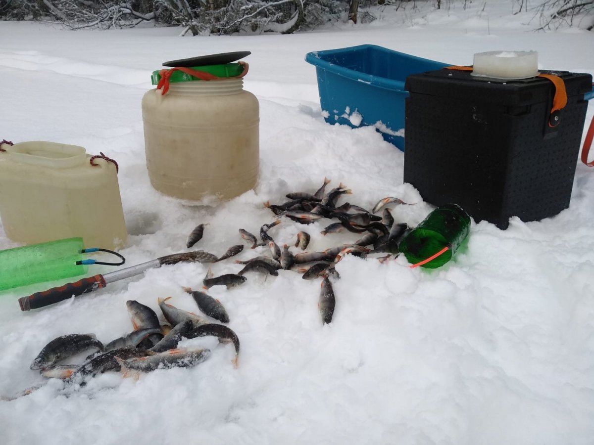 WhatsApp Image 2022-12-19 at 17.02.22(1).jpeg