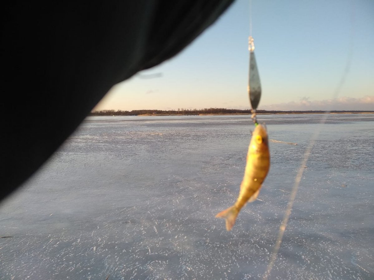 WhatsApp Image 2023-01-06 at 18.39.50.jpeg