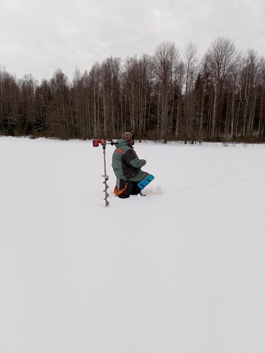 WhatsApp Image 2023-01-15 at 16.52.41.jpeg