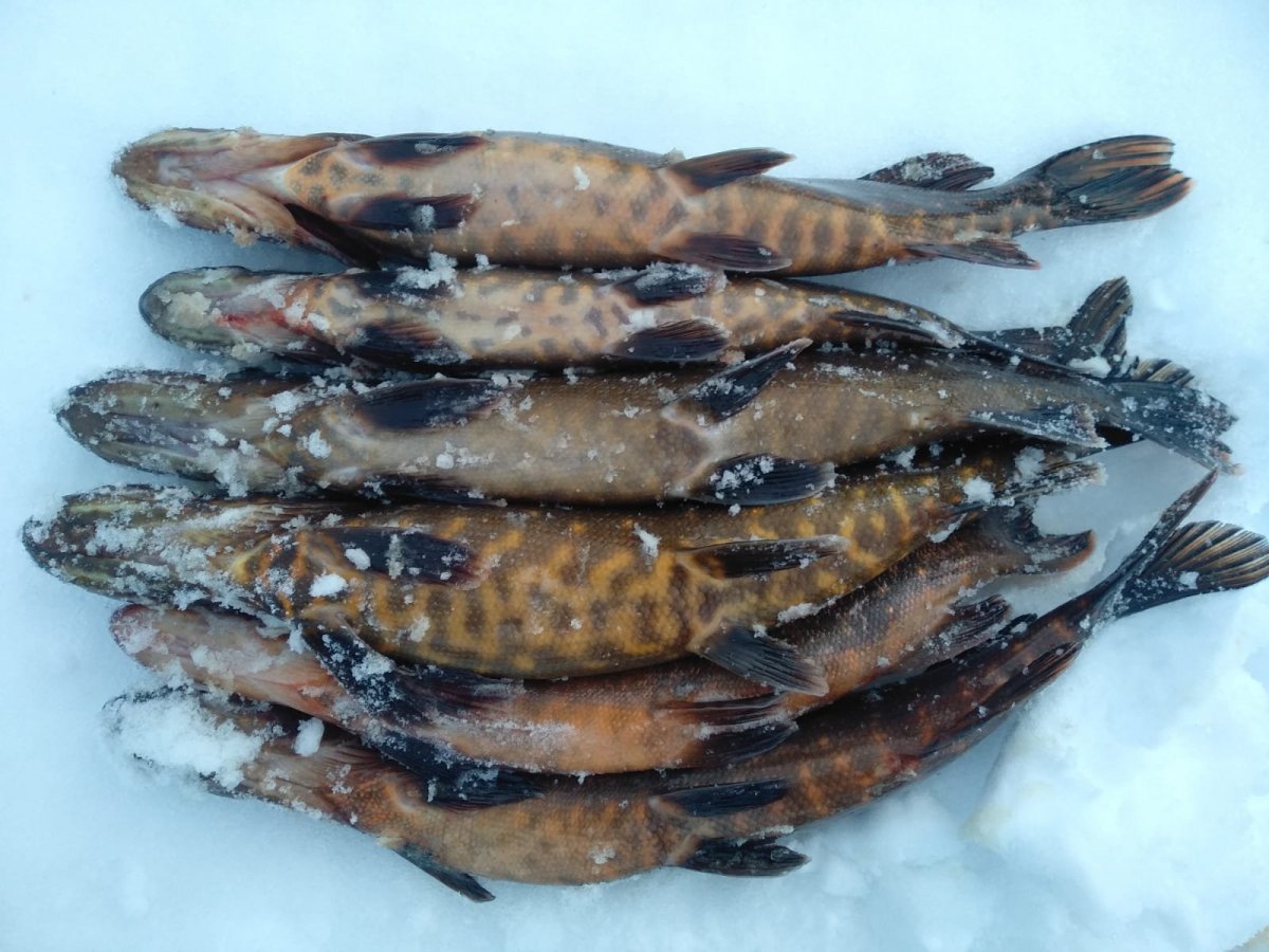 WhatsApp Image 2023-01-15 at 19.59.13.jpeg