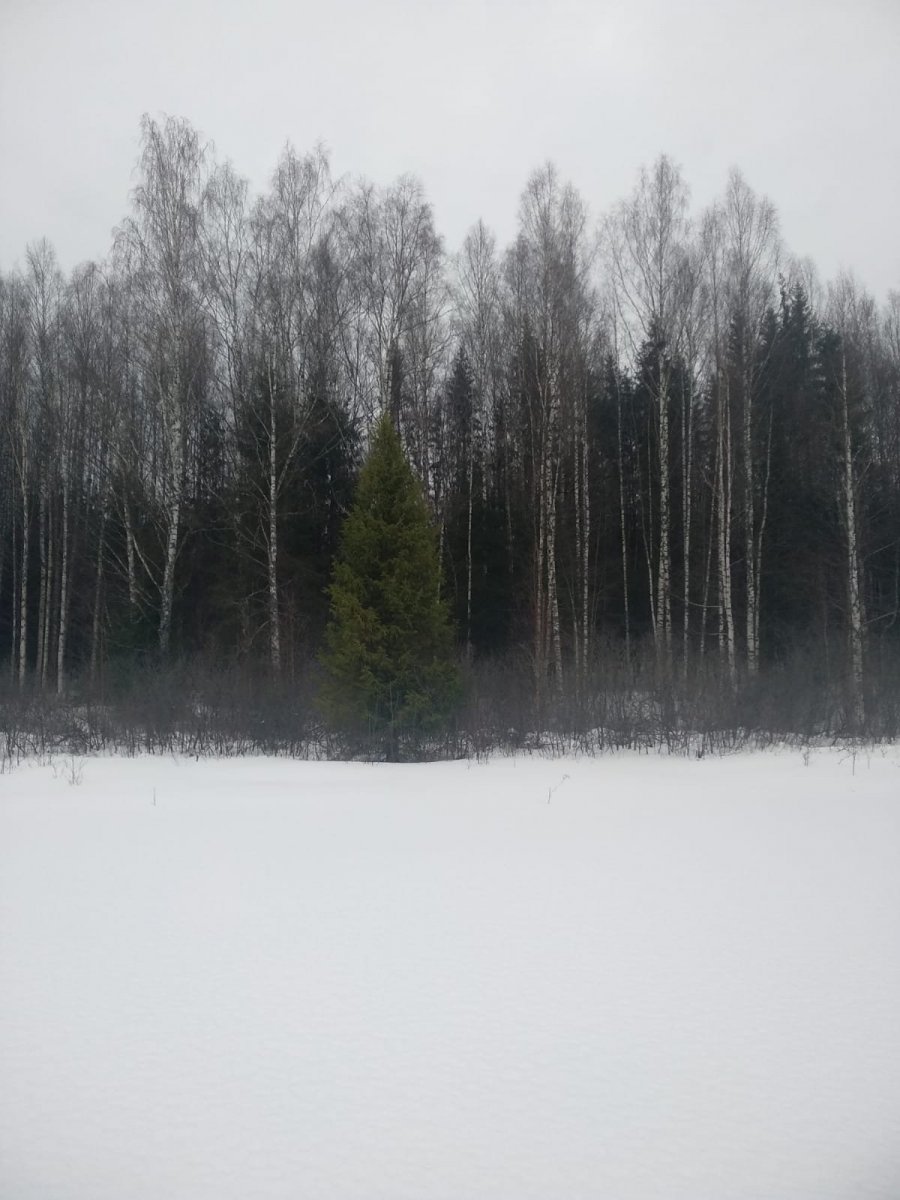 WhatsApp Image 2023-01-15 at 19.59.15(1).jpeg