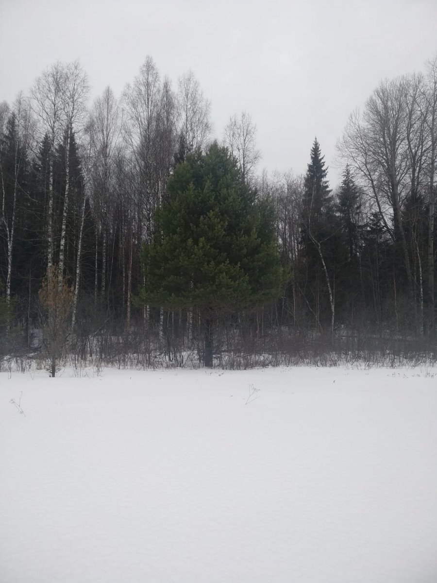 WhatsApp Image 2023-01-15 at 19.59.15.jpeg