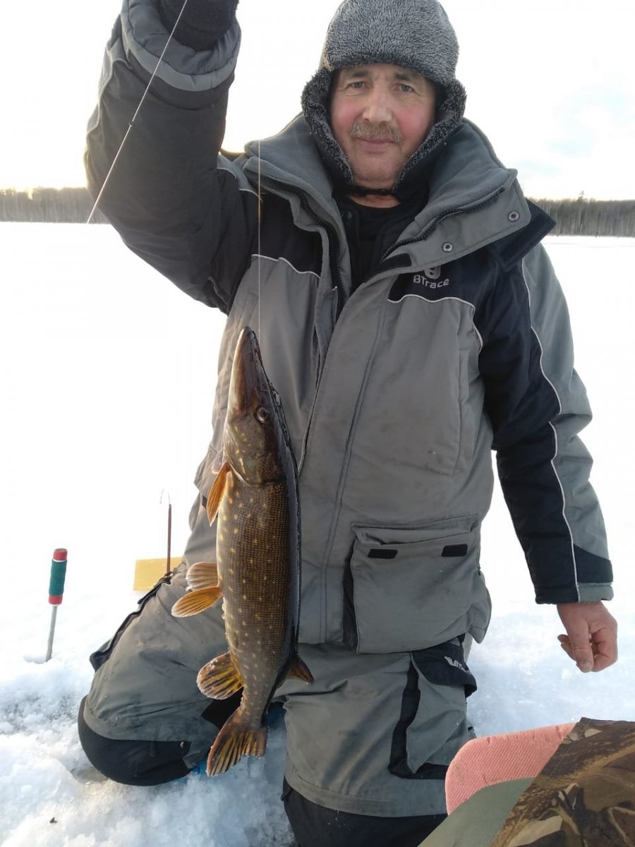 WhatsApp Image 2023-01-03 at 11.04.08.jpeg