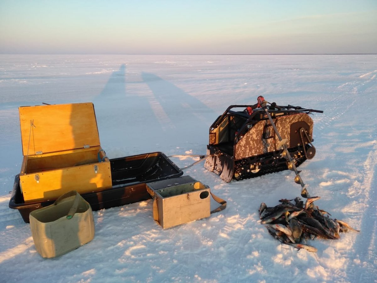 WhatsApp Image 2022-03-29 at 22.37.46.jpeg