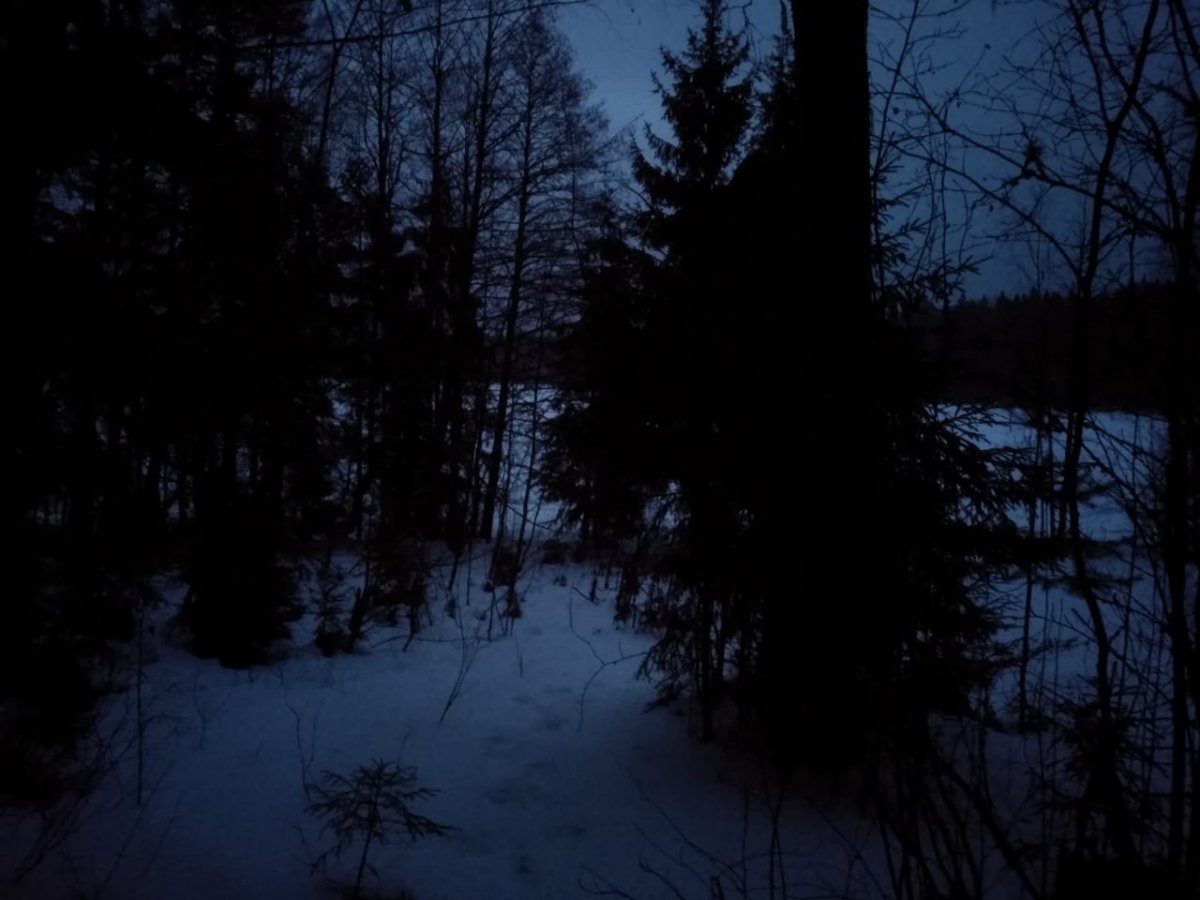 WhatsApp Image 2023-01-01 at 15.31.05.jpeg